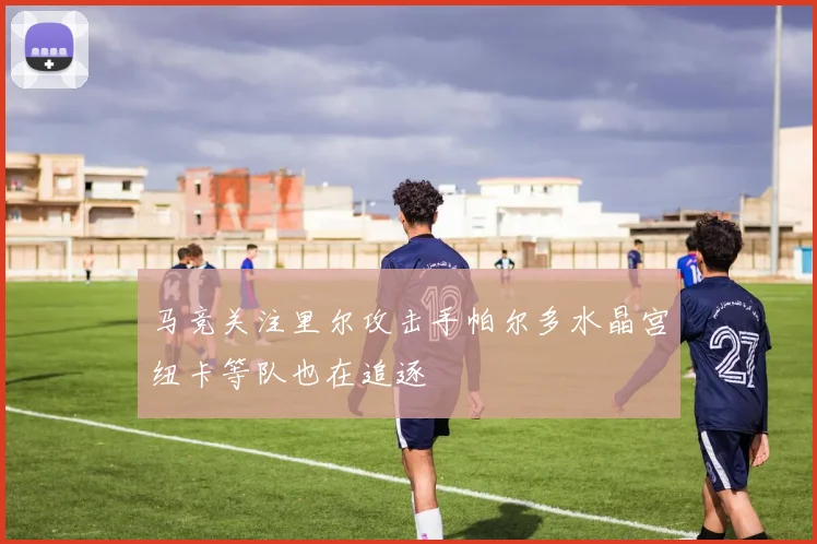 马竞关注里尔攻击手帕尔多水晶宫纽卡等队也在追逐