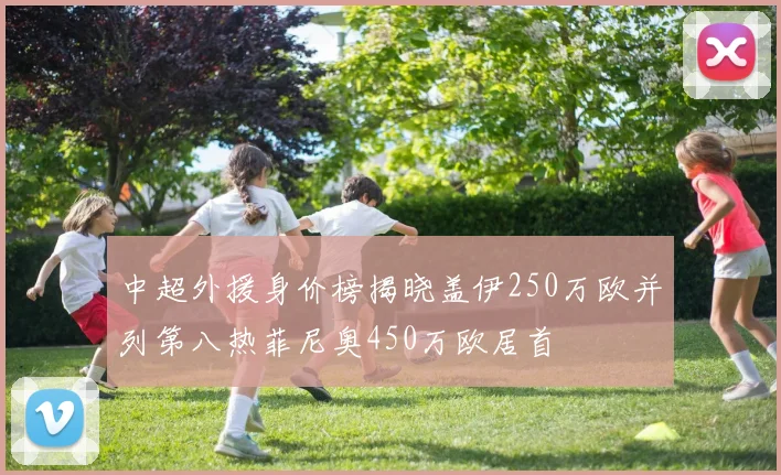 中超外援身价榜揭晓盖伊250万欧并列第八热菲尼奥450万欧居首