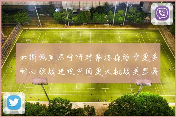 加斯佩里尼呼吁对弗格森给予更多耐心欧战进攻空间更大挑战更显著